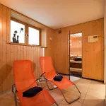 Apartment Steinbock Sankt Johann in Tirol